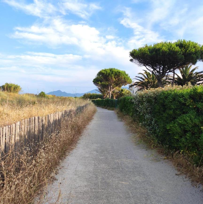 Les Capitelles 5 - Acces Direct A La Plage Depuis Le Jardin - T2 Avec Cabine - 6 Pers - Jardin - Piscine - Parking Saint-Cyprien  Exterior foto